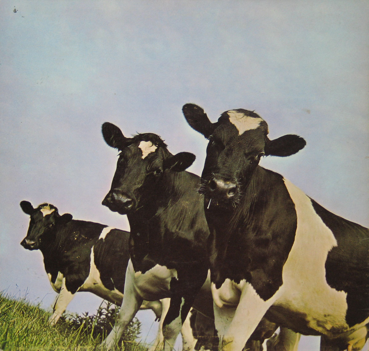 High Resolution Photo #2 Pink Floyd Atom Heart Mother UK  